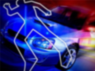 hit and run case
